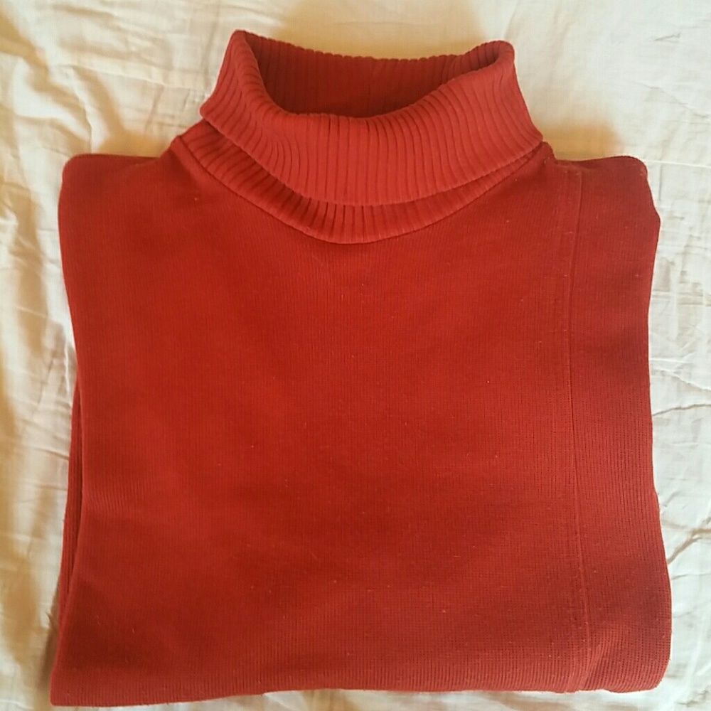 Turtleneck tunic [1]
